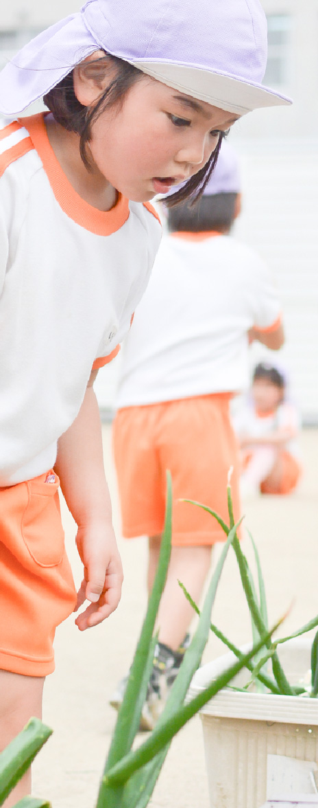 好き嫌いがなくなる食育